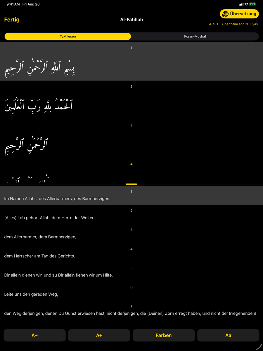 Reader screen — iPad