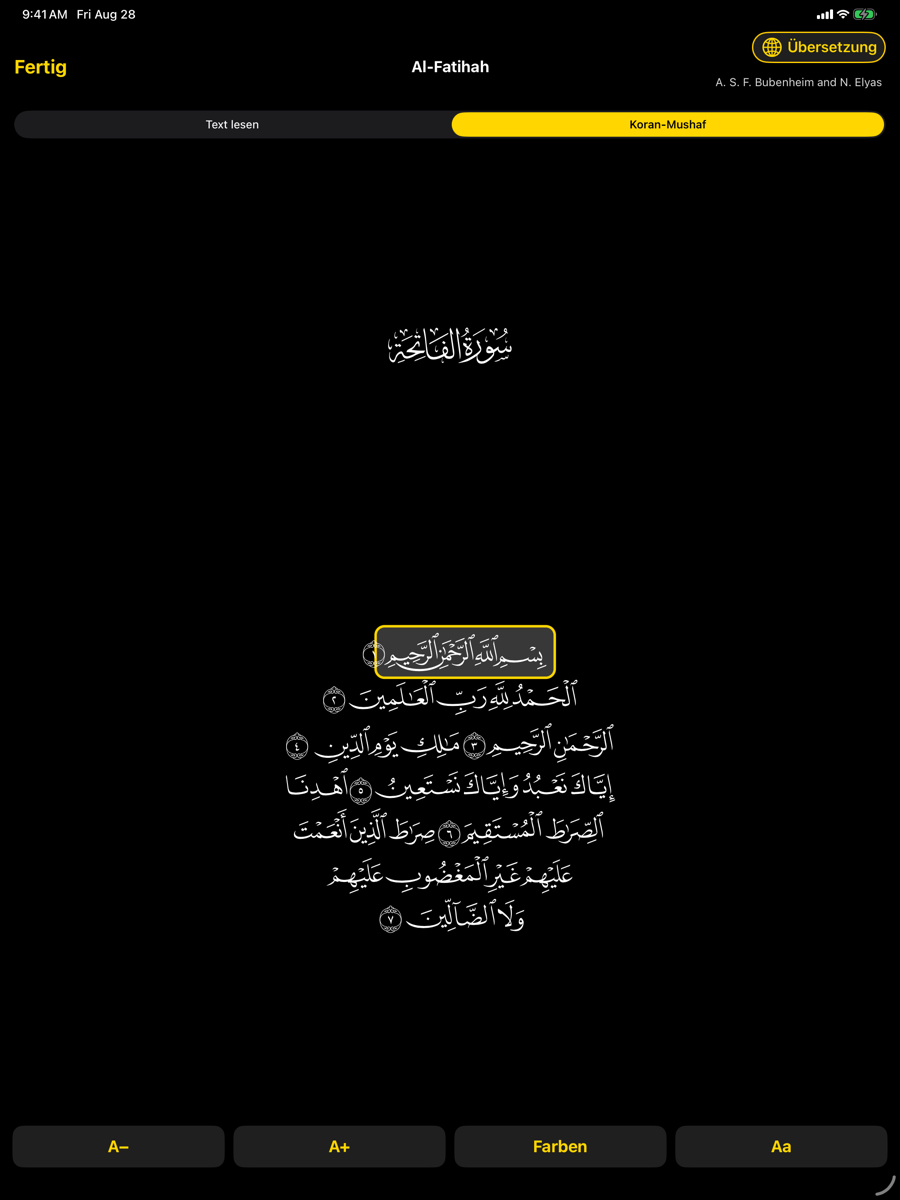 Mushaf screen — iPad