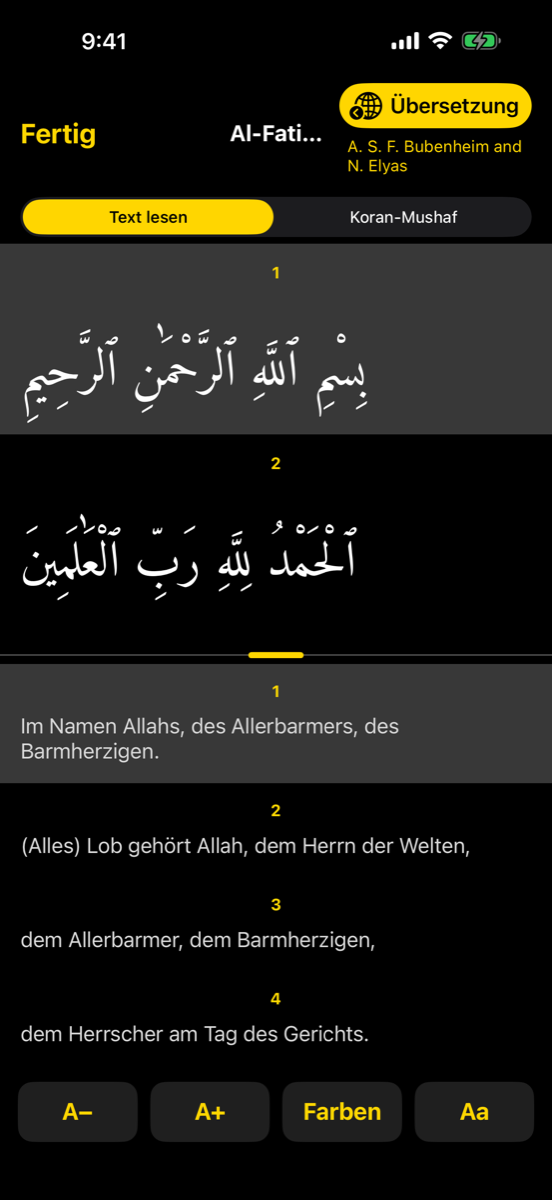 Reader screen — iPhone