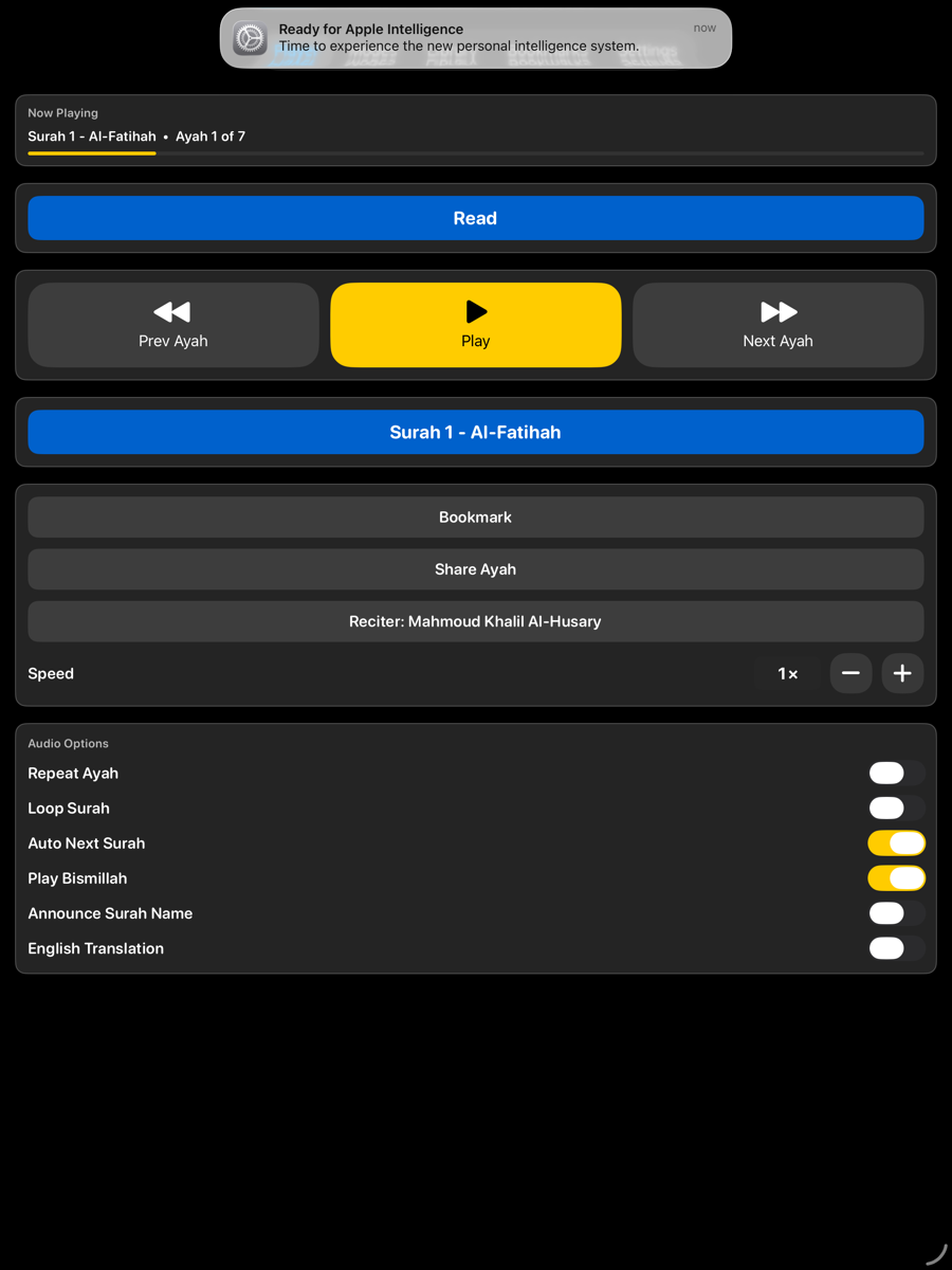 Player screen — iPad
