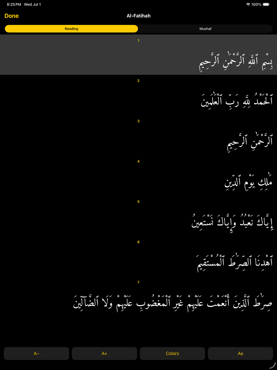 Reader screen — iPad