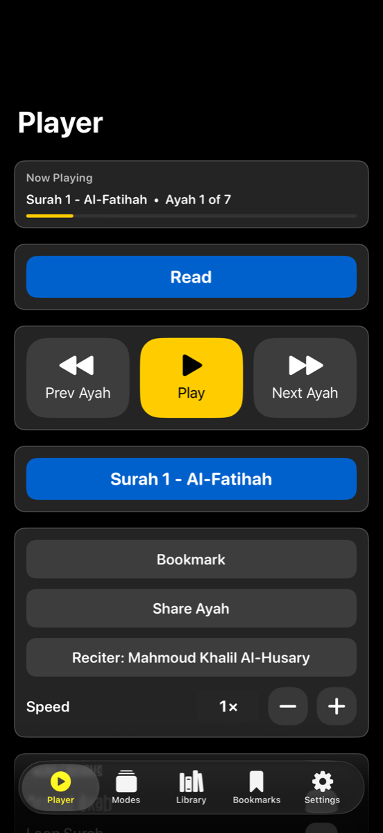 Player screen — iPhone