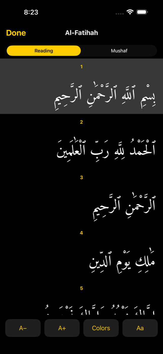Reader screen — iPhone