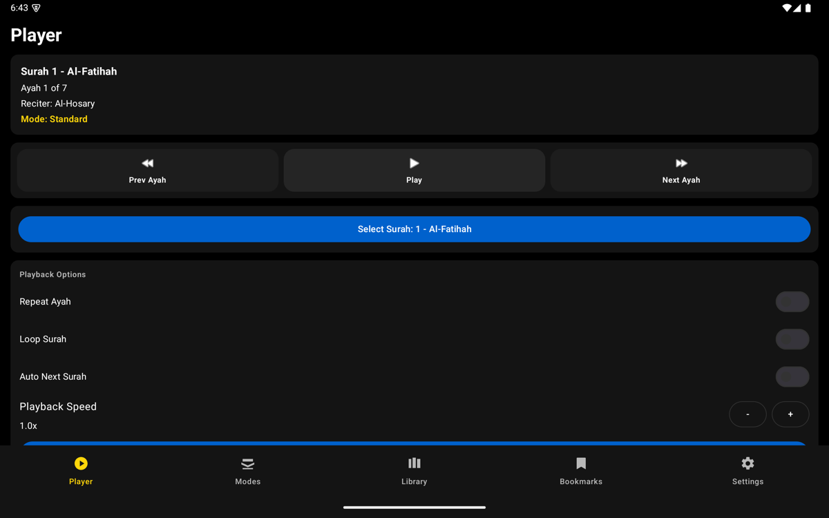 Player screen — Tablet