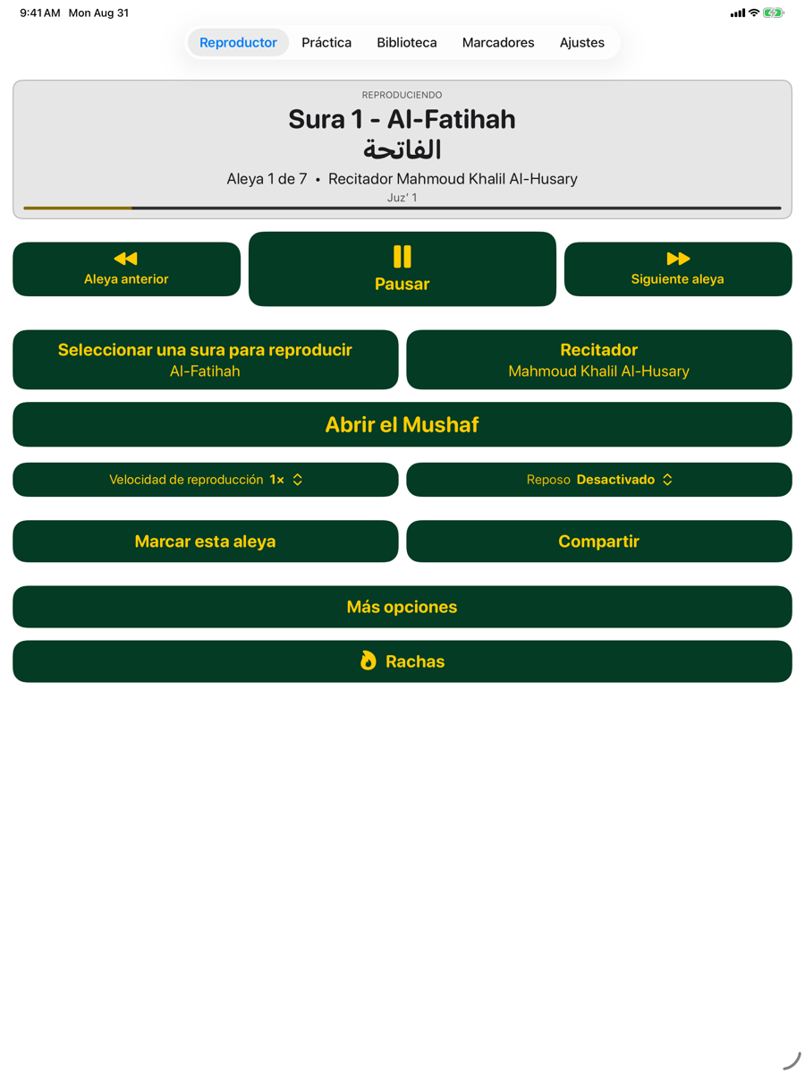 Player screen — iPad light mode