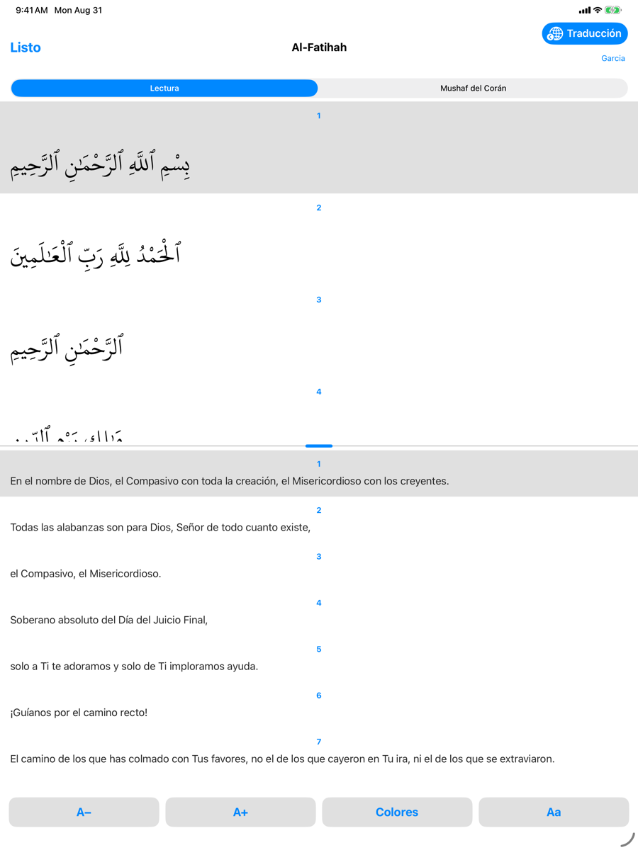 Reader screen — iPad light mode