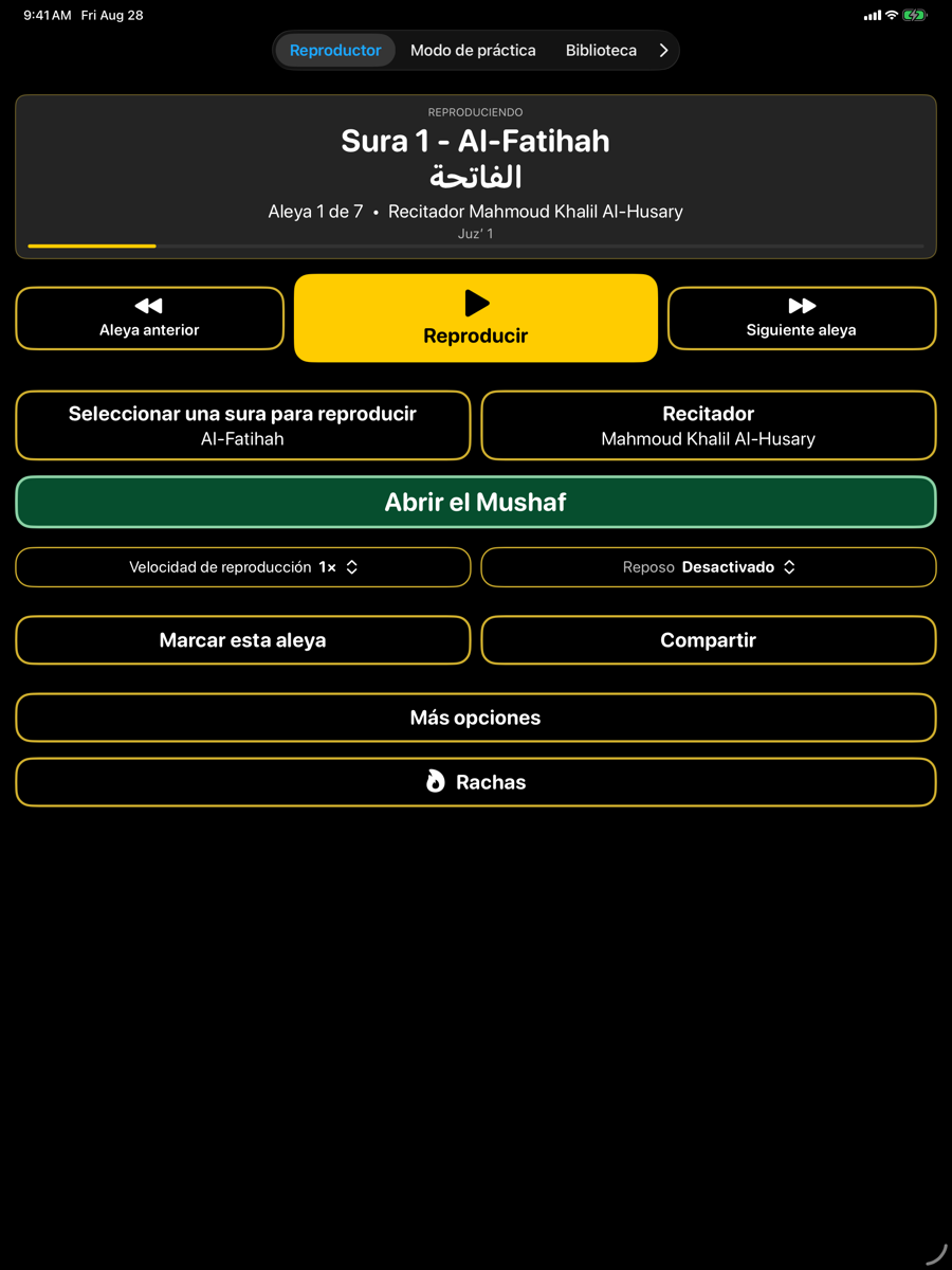 Player screen — iPad