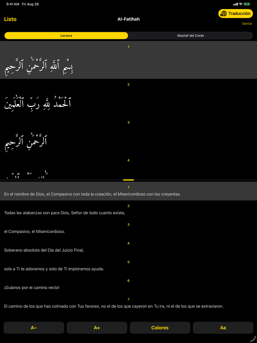 Reader screen — iPad