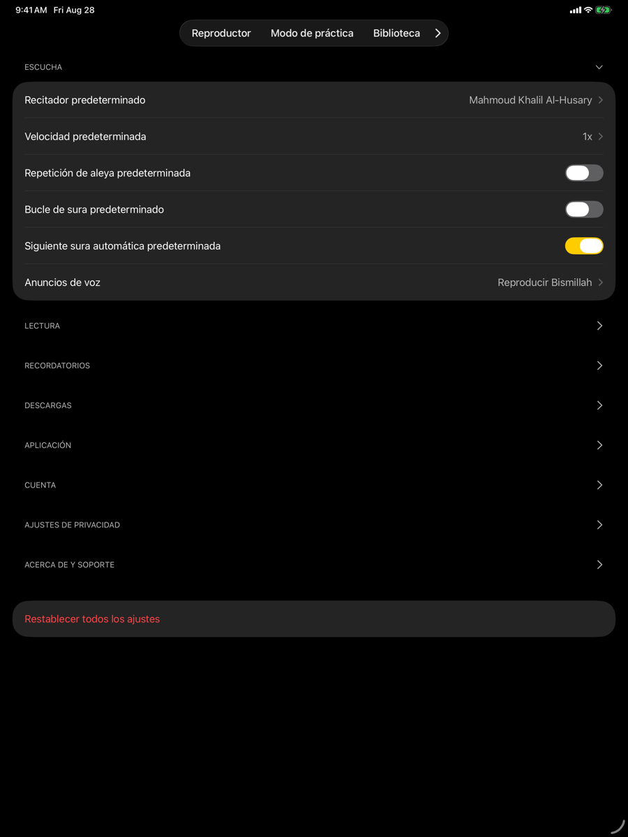 Settings screen — iPad