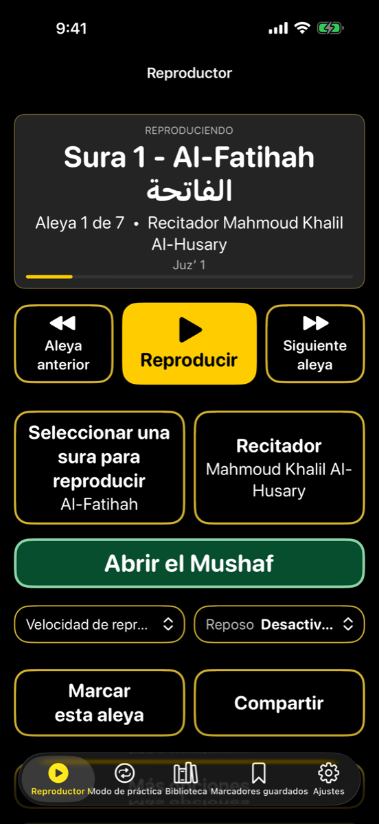 Player screen — iPhone