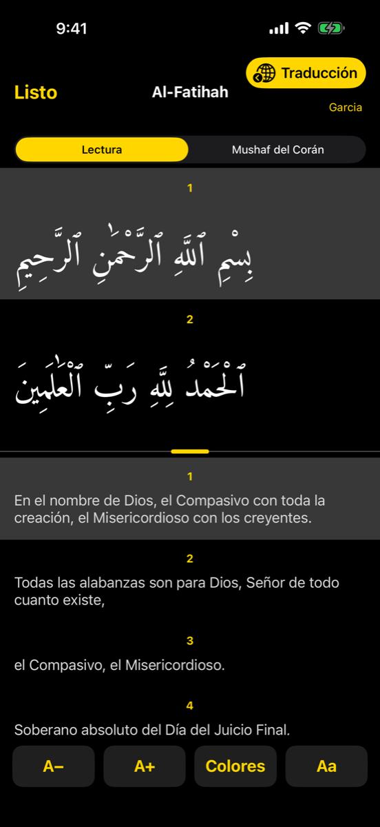 Reader screen — iPhone