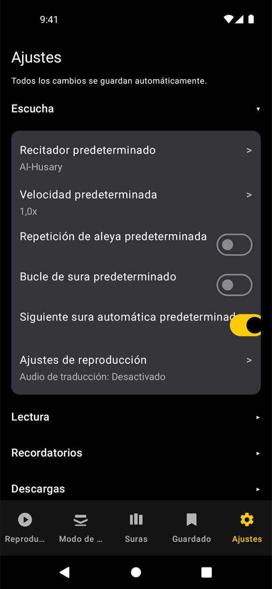 Settings screen — Phone
