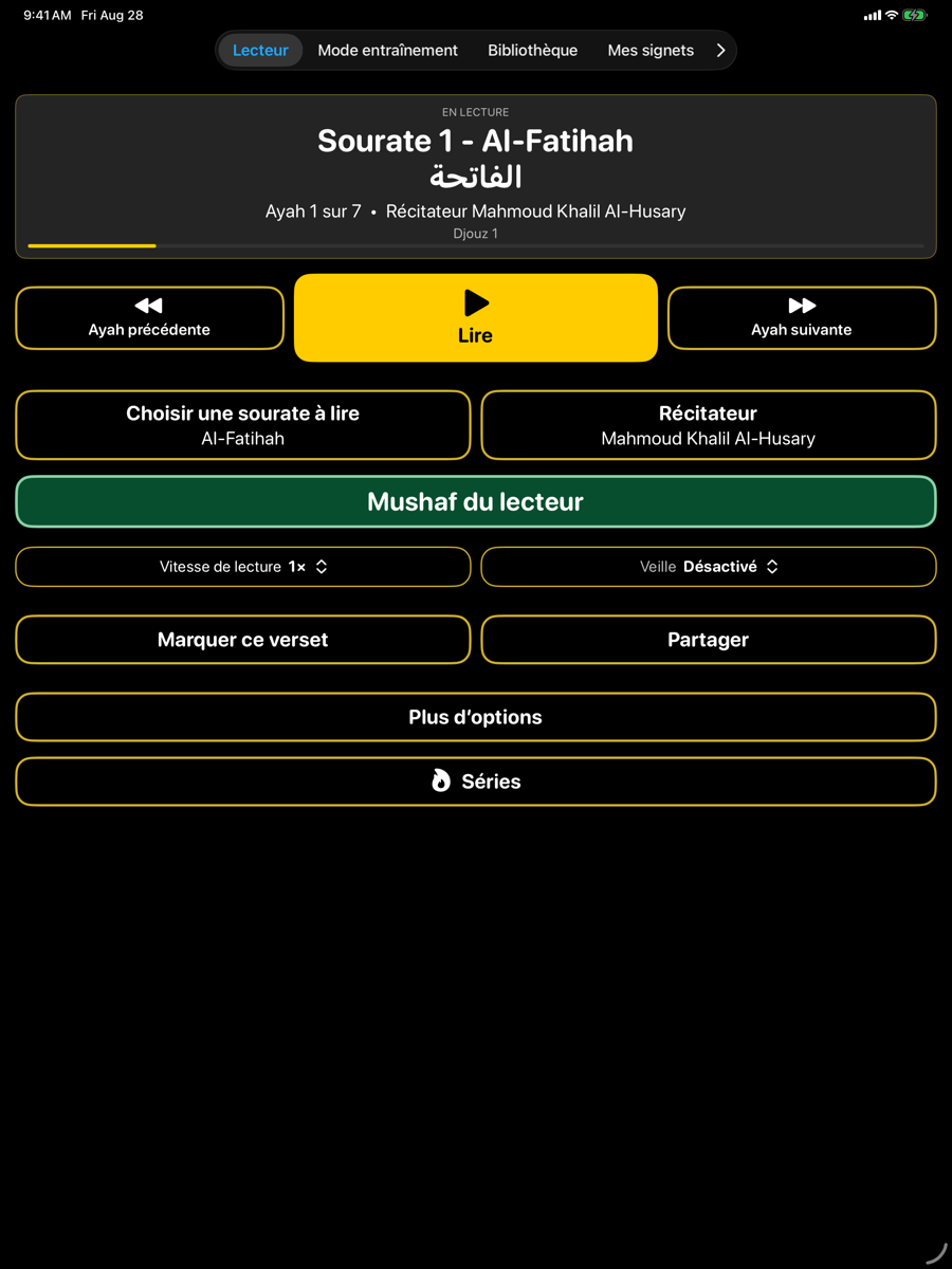 Player screen — iPad