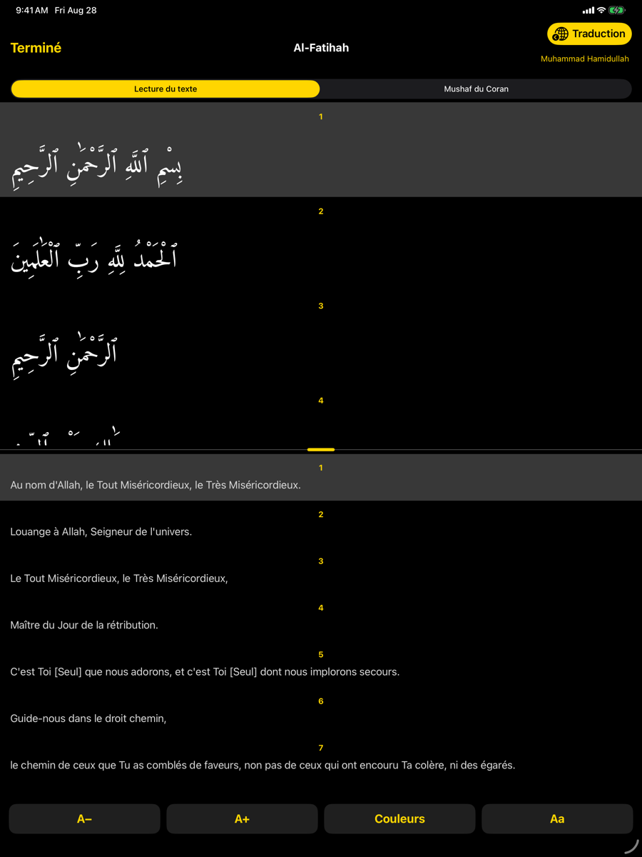 Reader screen — iPad