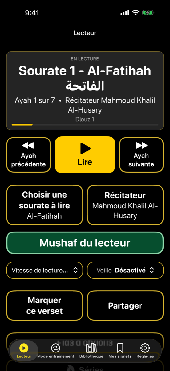 Player screen — iPhone