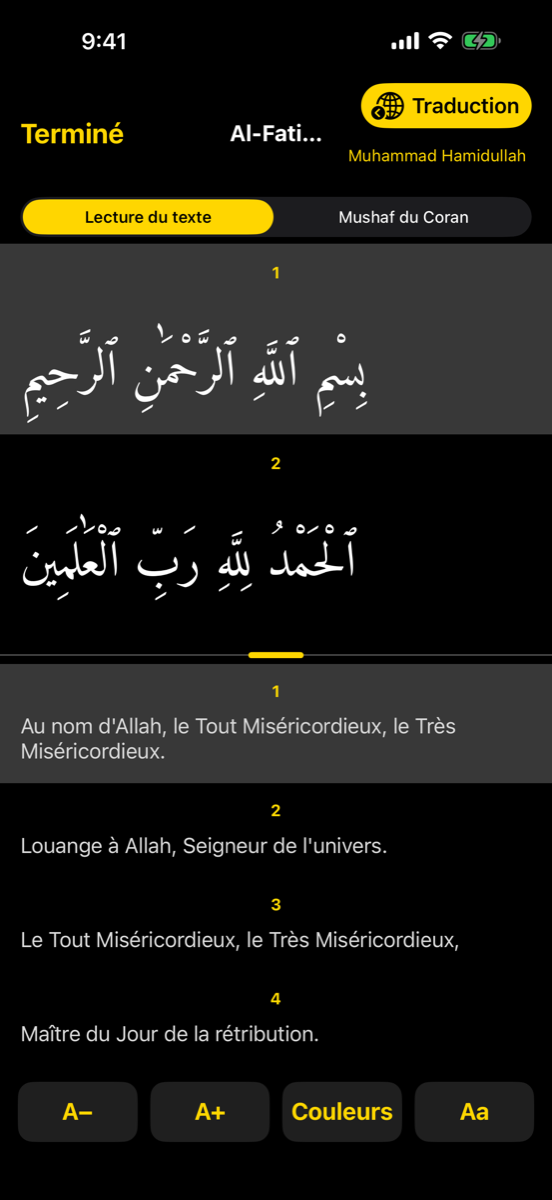 Reader screen — iPhone