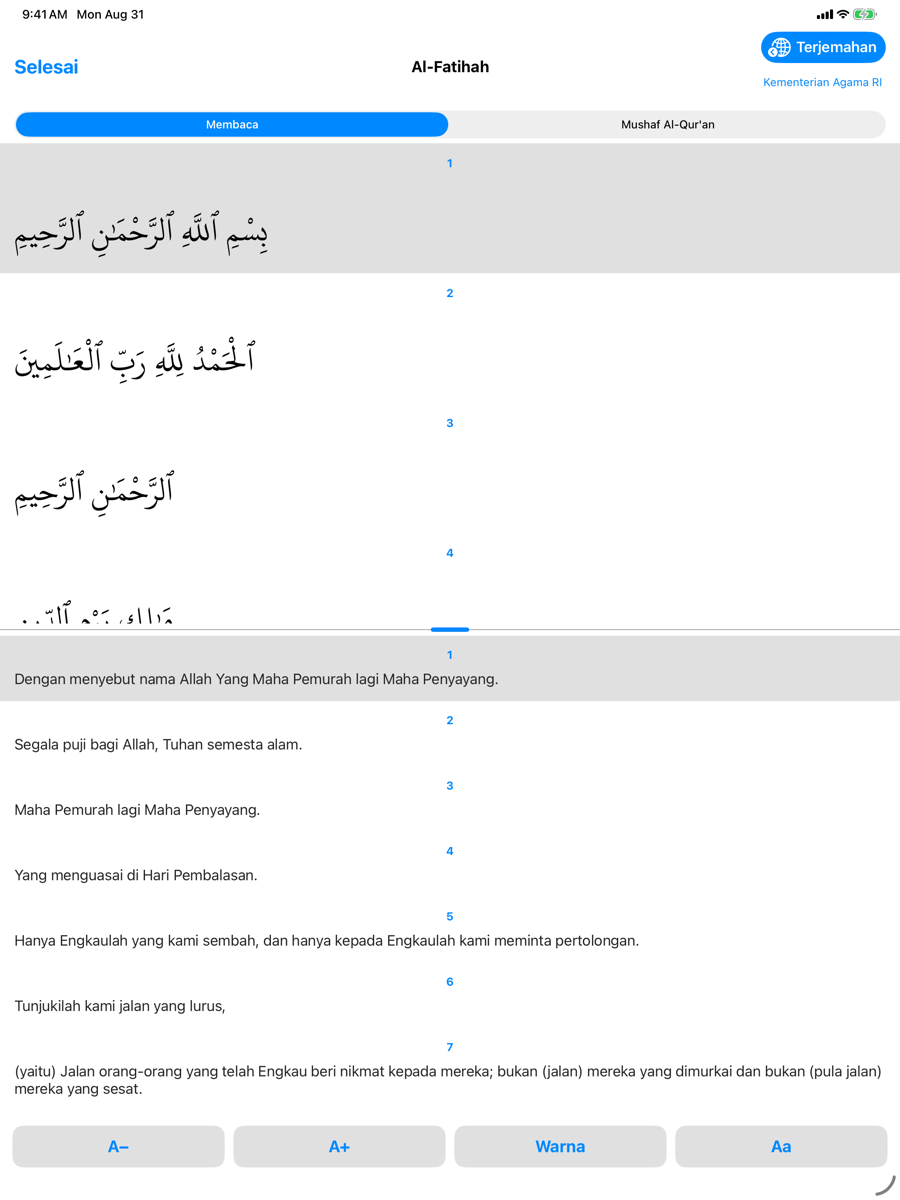 Reader screen — iPad light mode