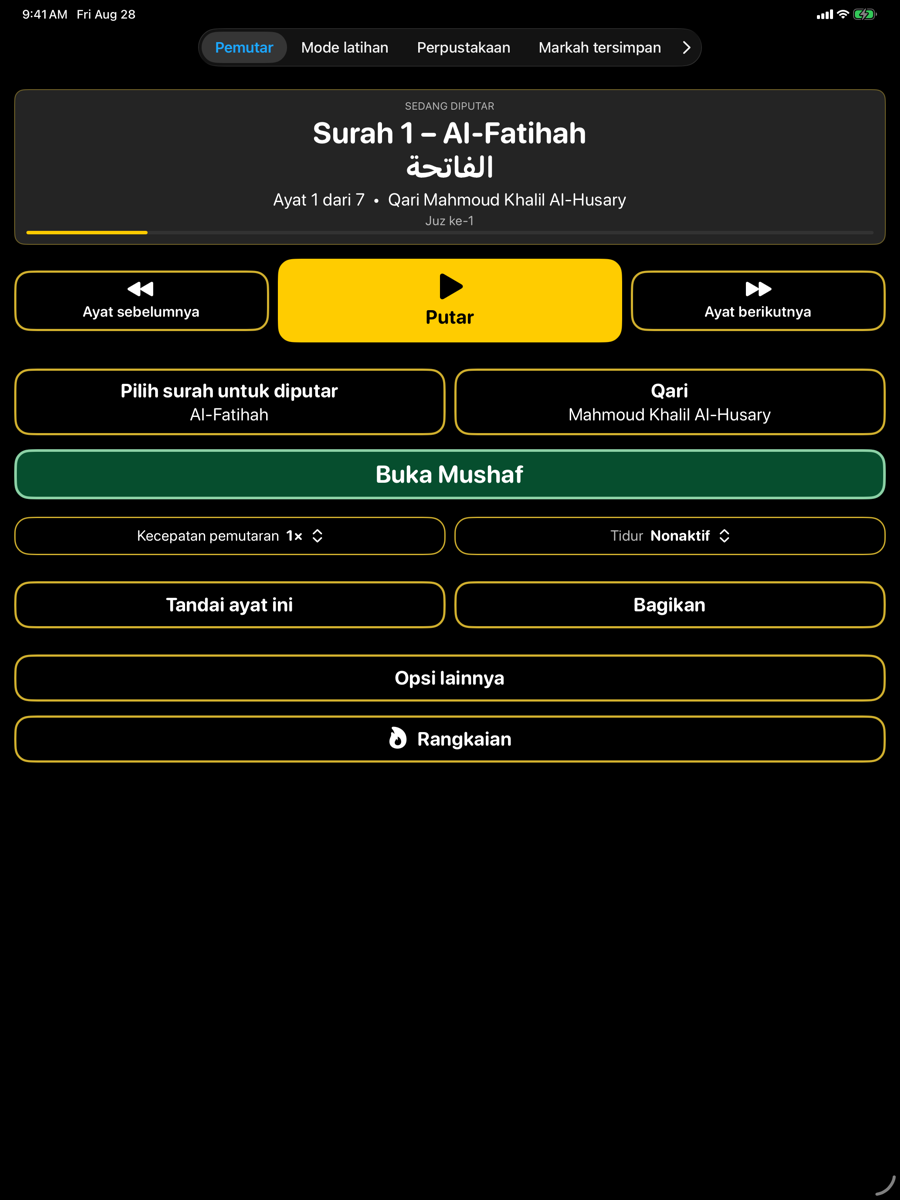 Player screen — iPad
