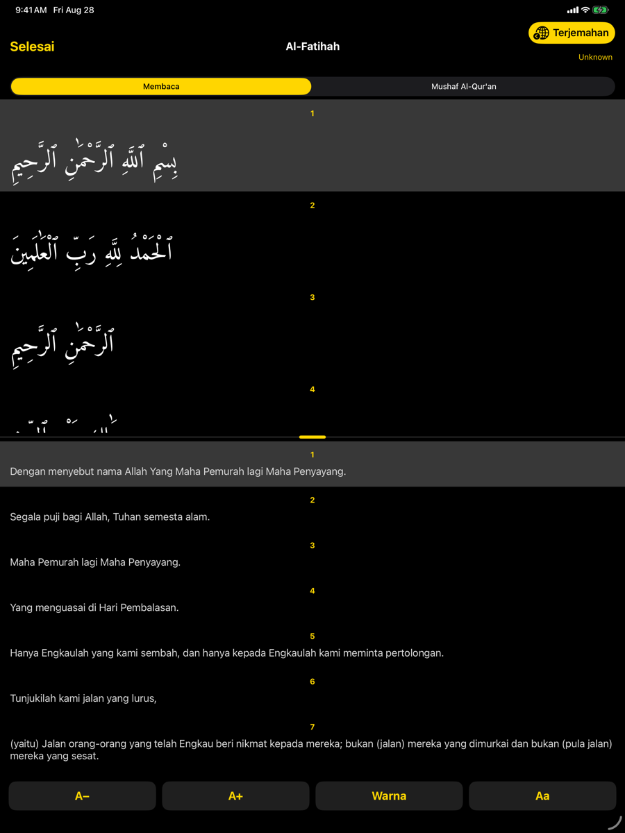 Reader screen — iPad