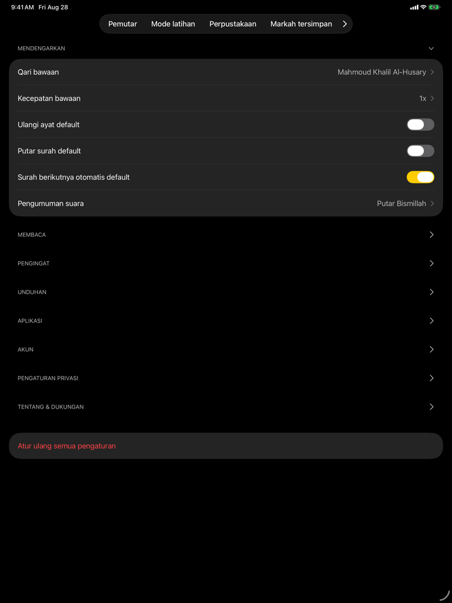 Settings screen — iPad