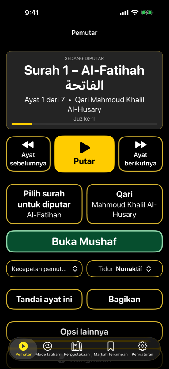 Player screen — iPhone