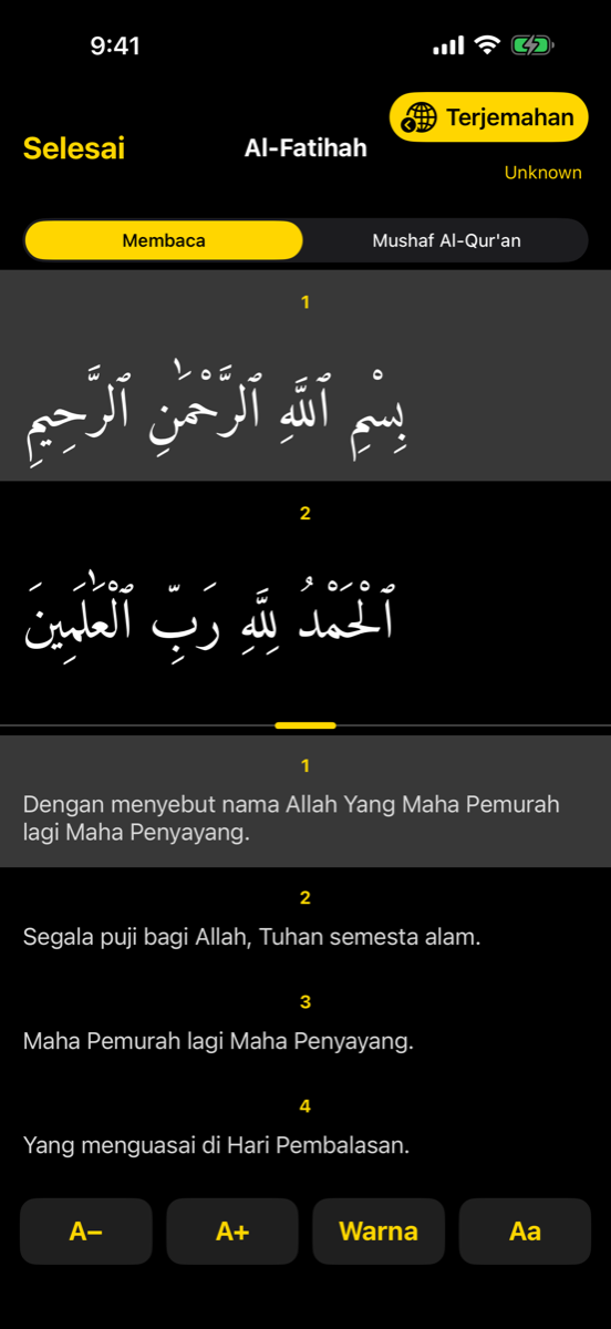 Reader screen — iPhone