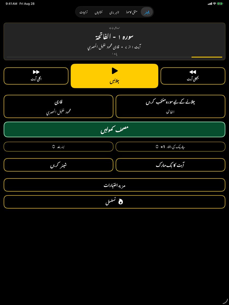Player screen — iPad