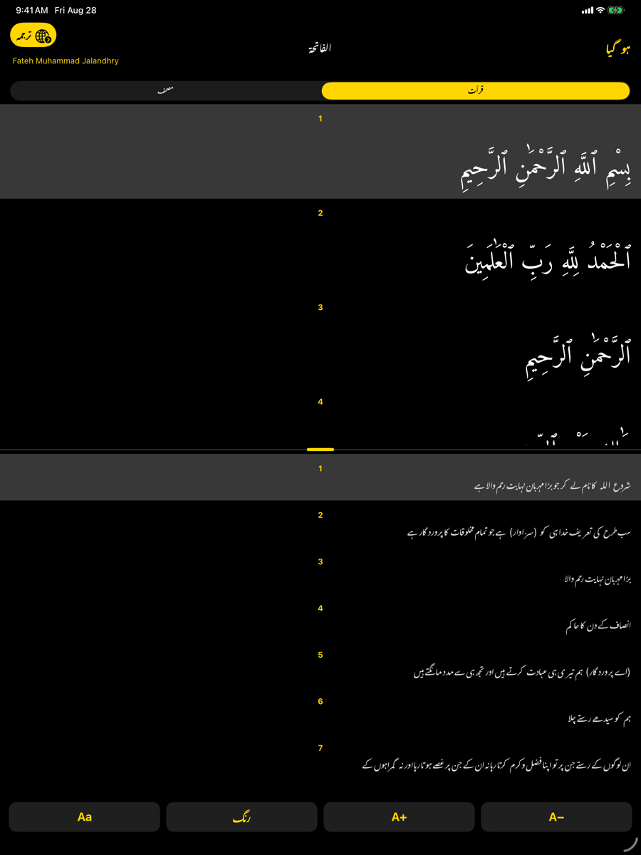 Reader screen — iPad