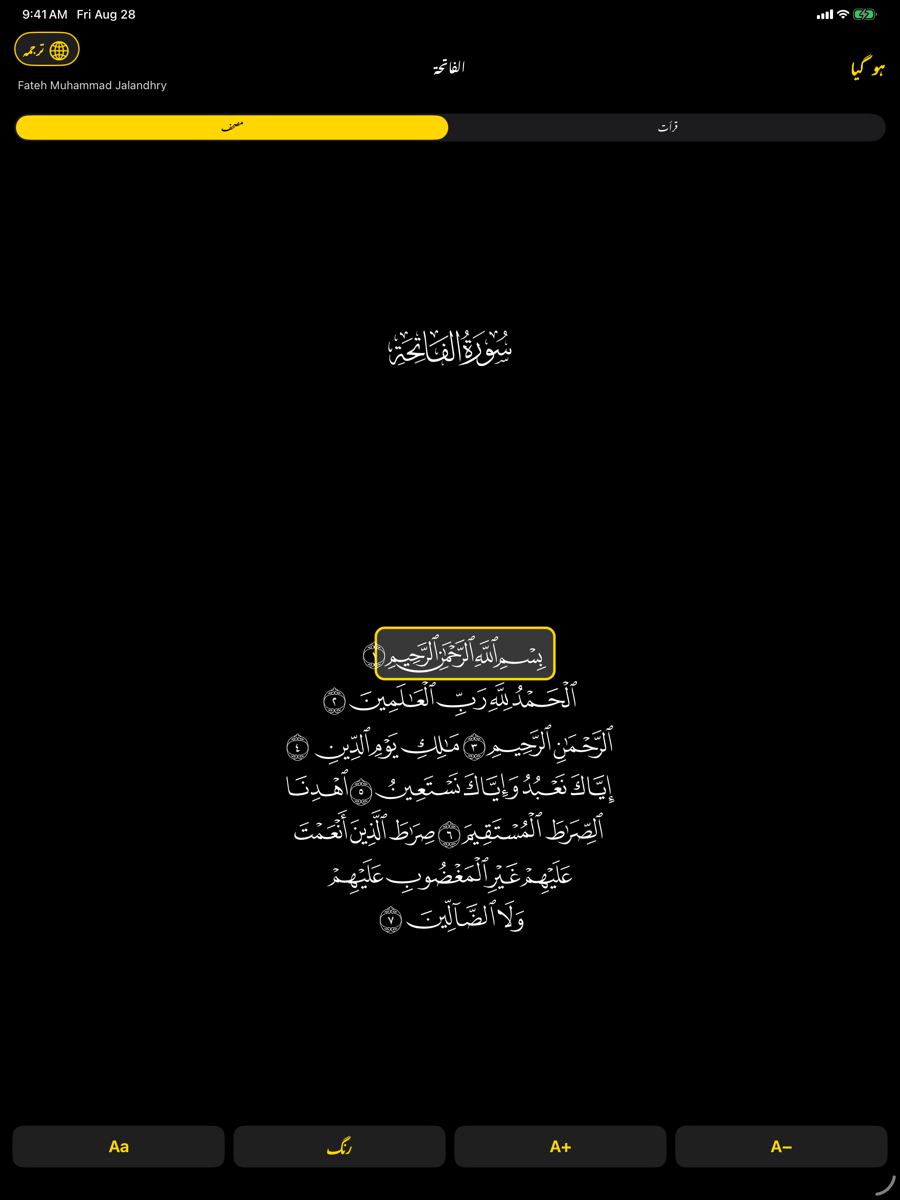 Mushaf screen — iPad