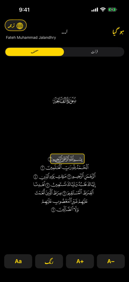 Mushaf screen — iPhone
